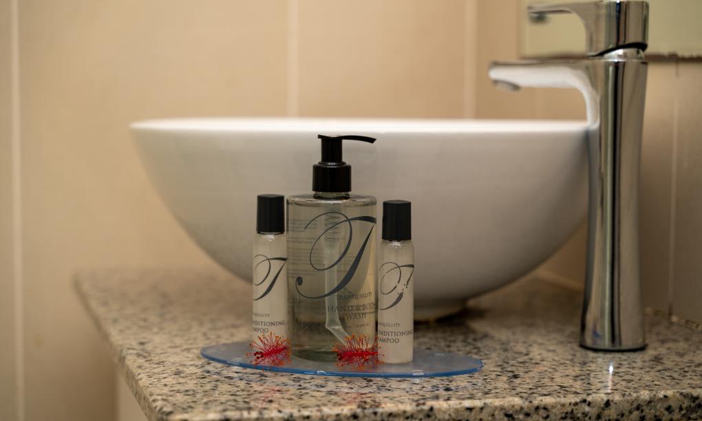 The Ridge Residence - Standard Twin Room