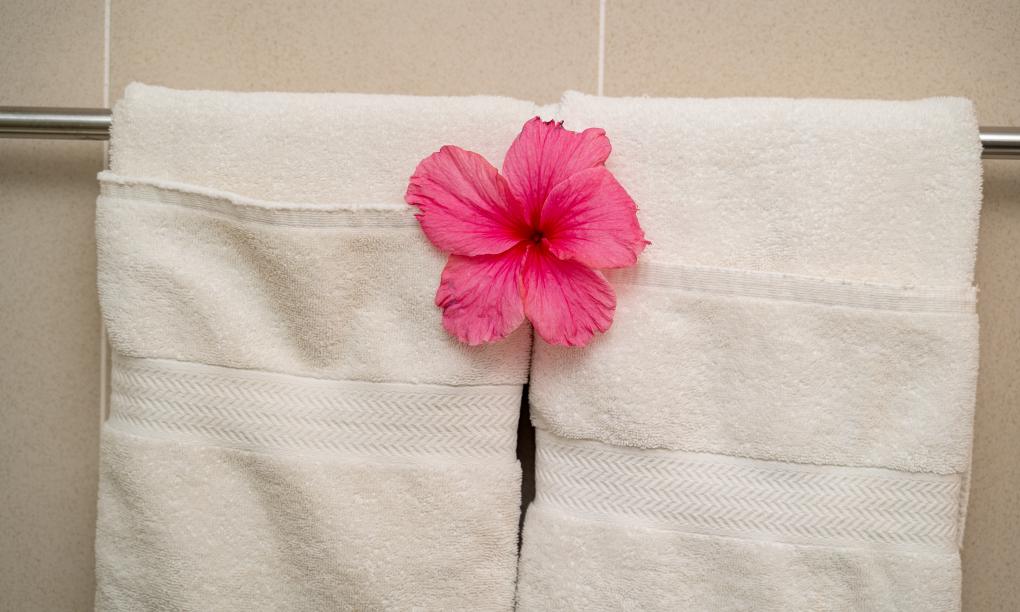 The Ridge Residence - Standard Twin Room