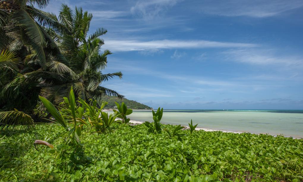 ANV Holiday Apartments