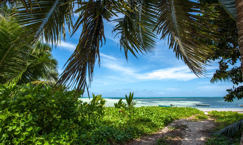 ANV Holiday Apartments