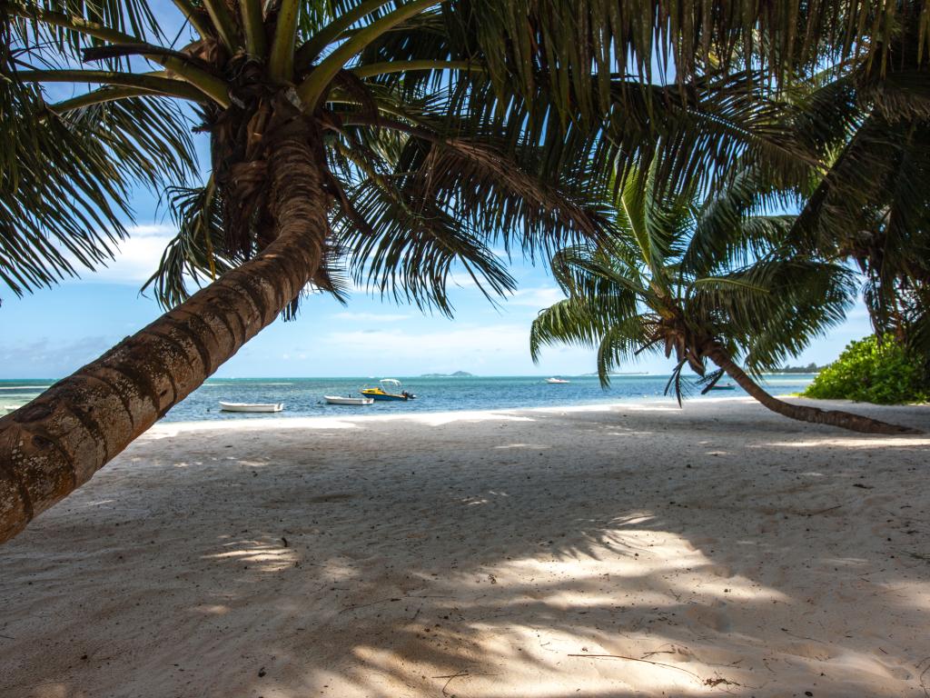 ANV Holiday Apartments - Photo 2