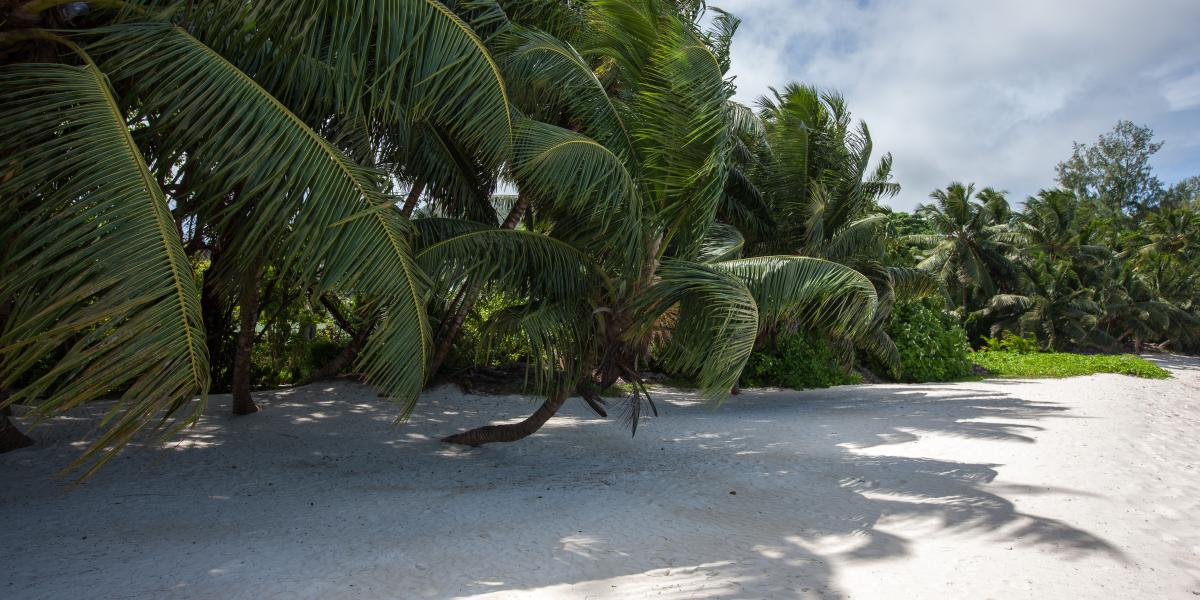 ANV Holiday Apartments