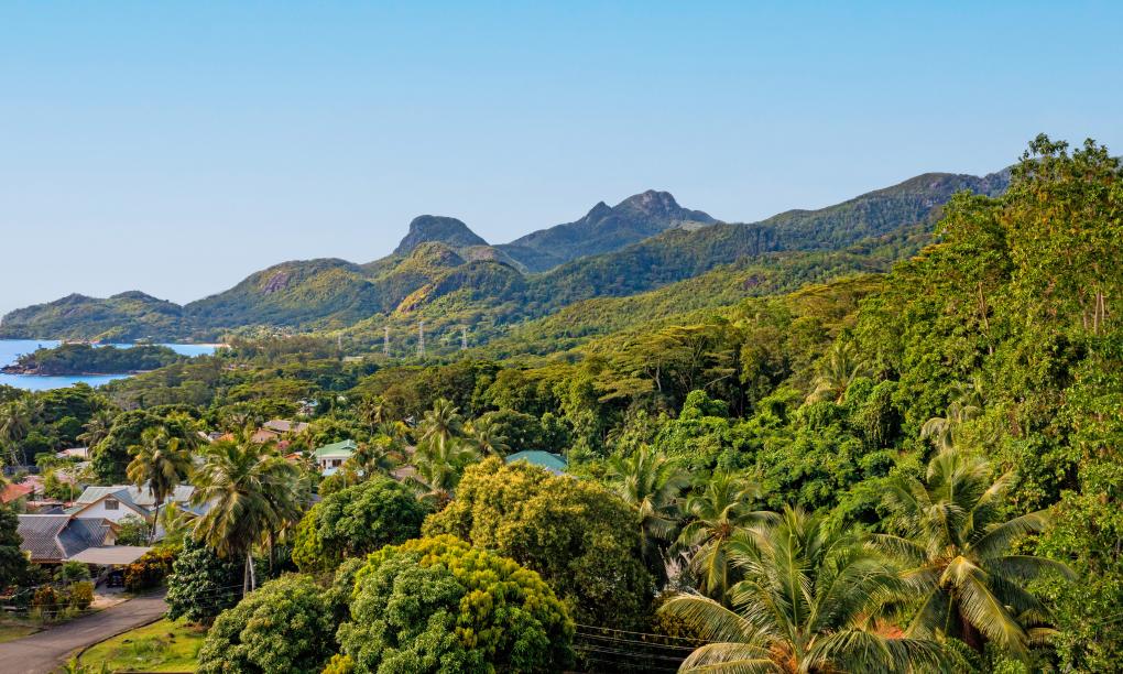 The Orchard Holiday Home