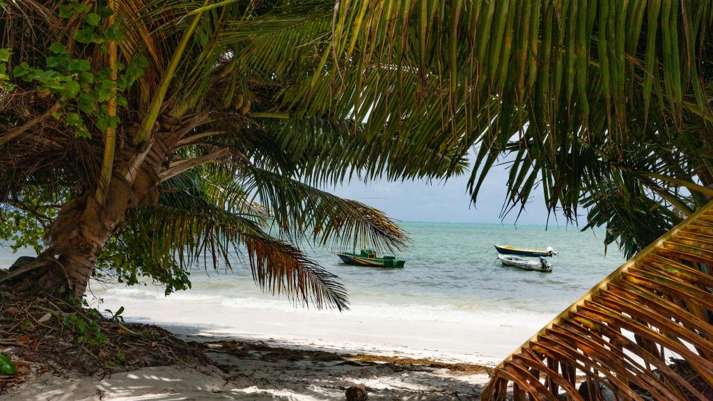 Photo 26: Residence Praslinoise - Praslin (Seychelles)