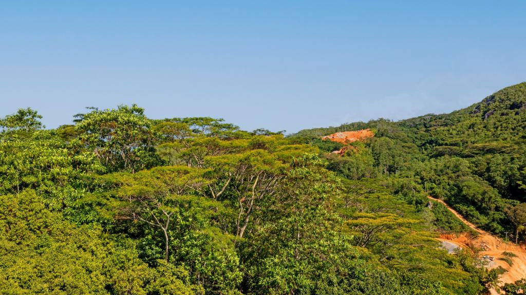 Foto 41: Sorento Sur Mer - Mahé (Seychellen)