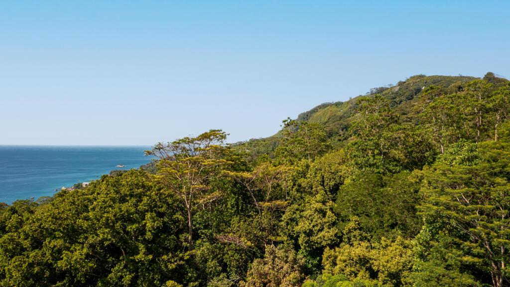 Foto 43: Sorento Sur Mer - Mahé (Seychellen)