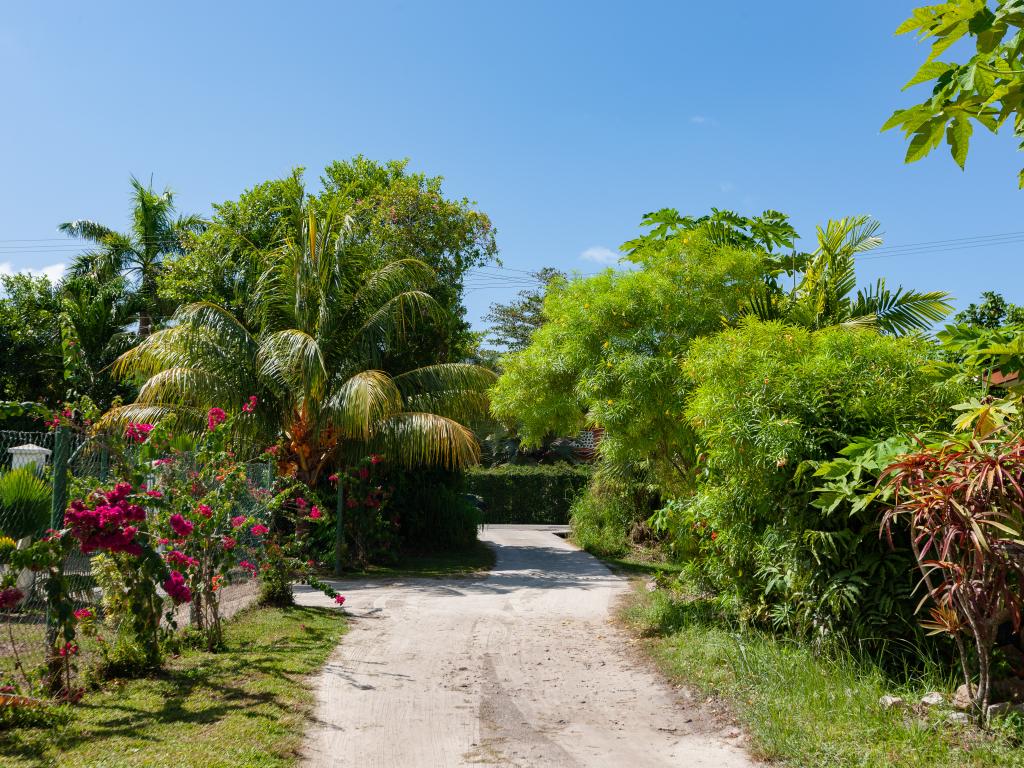 Blue Sky Self Catering - Foto 7