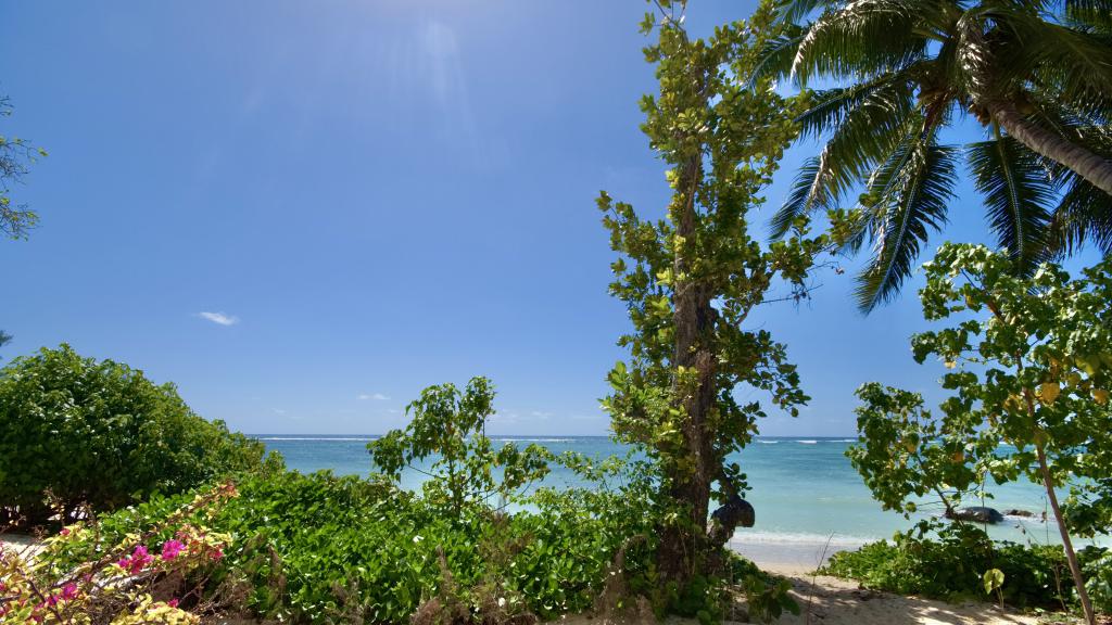 Photo 15: Bacova Sur Mer by Le Domaine de Bacova - Mahé (Seychelles)