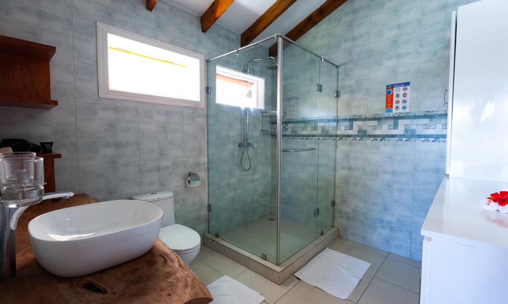 Ambiance Villa - 3-Bedroom Villa