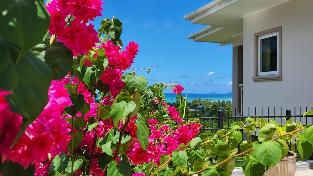 Photo 39: La Trouvaille - Mahé (Seychelles)