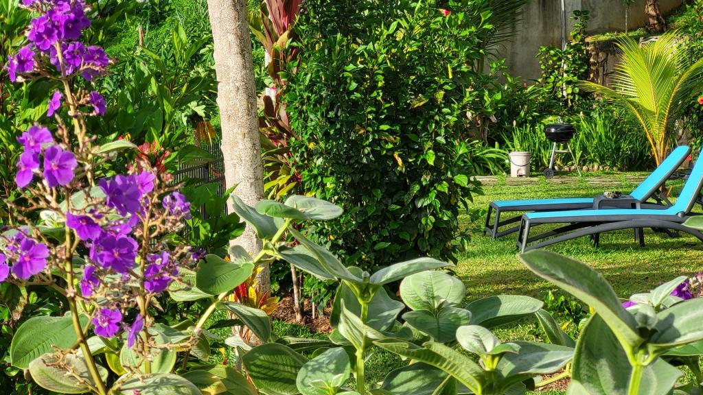 Photo 37: La Trouvaille - Mahé (Seychelles)