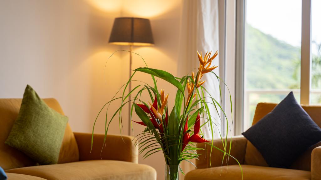 Photo 44: La Trouvaille - Mahé (Seychelles)