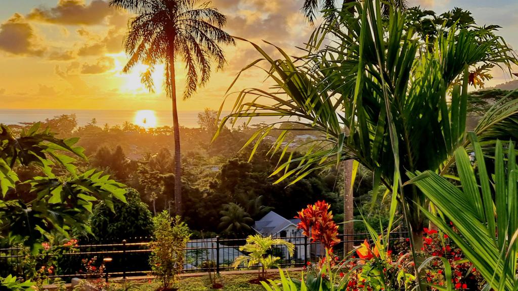 Photo 35: La Trouvaille - Mahé (Seychelles)