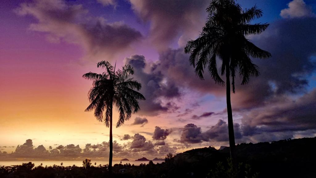 Photo 48: La Trouvaille - Mahé (Seychelles)