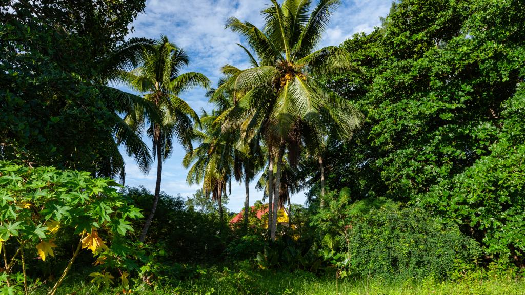 Foto 19: Benjamine's Guesthouse - La Digue (Seychelles)