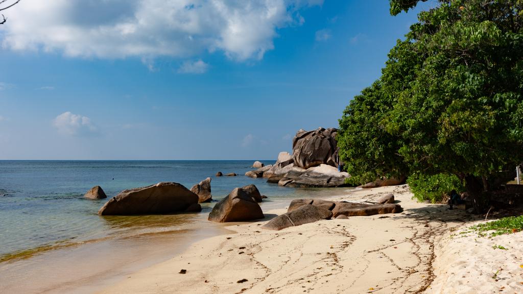 Foto 28: La Petite Maison - Praslin (Seychelles)