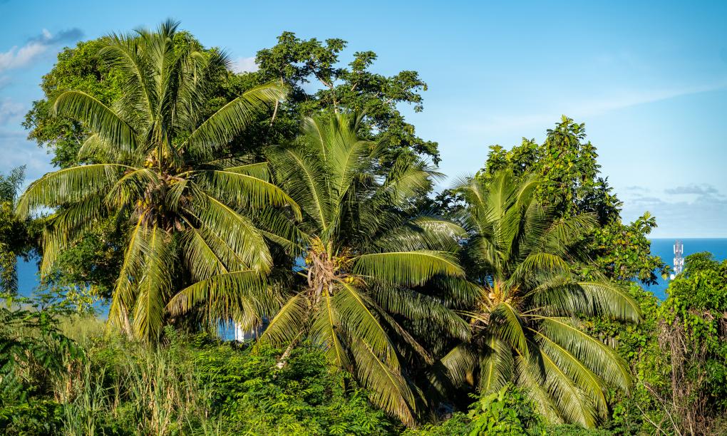 Hidden Valley Residence