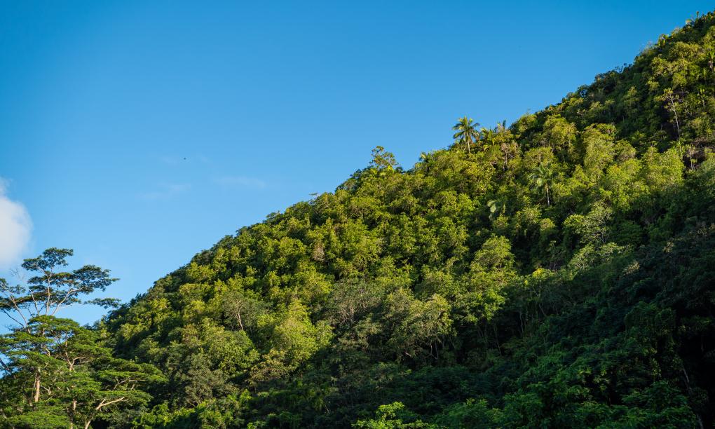 Hidden Valley Residence