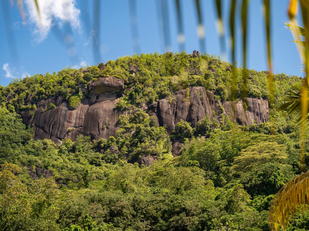 Effie's Mountain View Villas - Photo 6