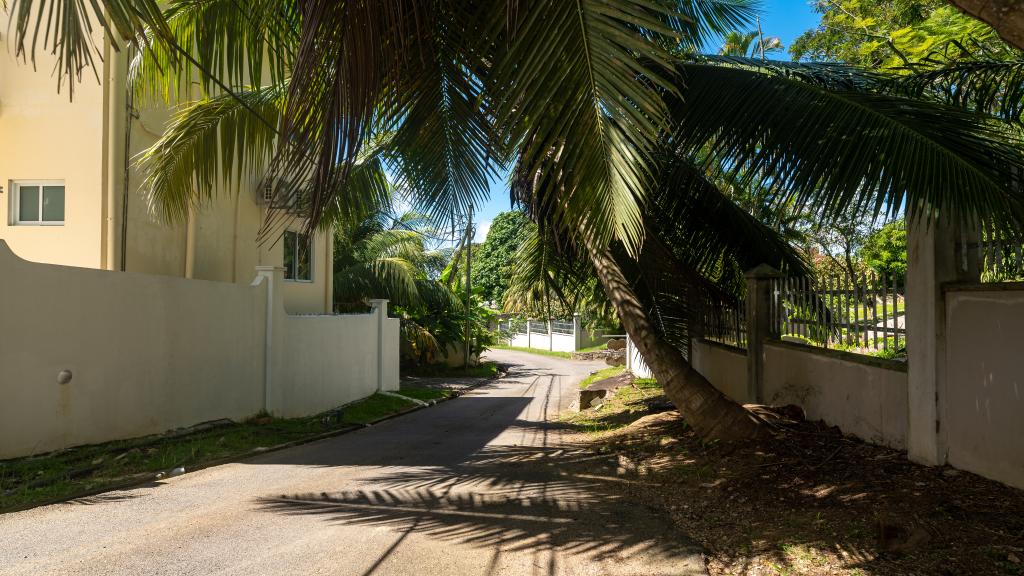 Photo 48: Cap Confort - Mahé (Seychelles)
