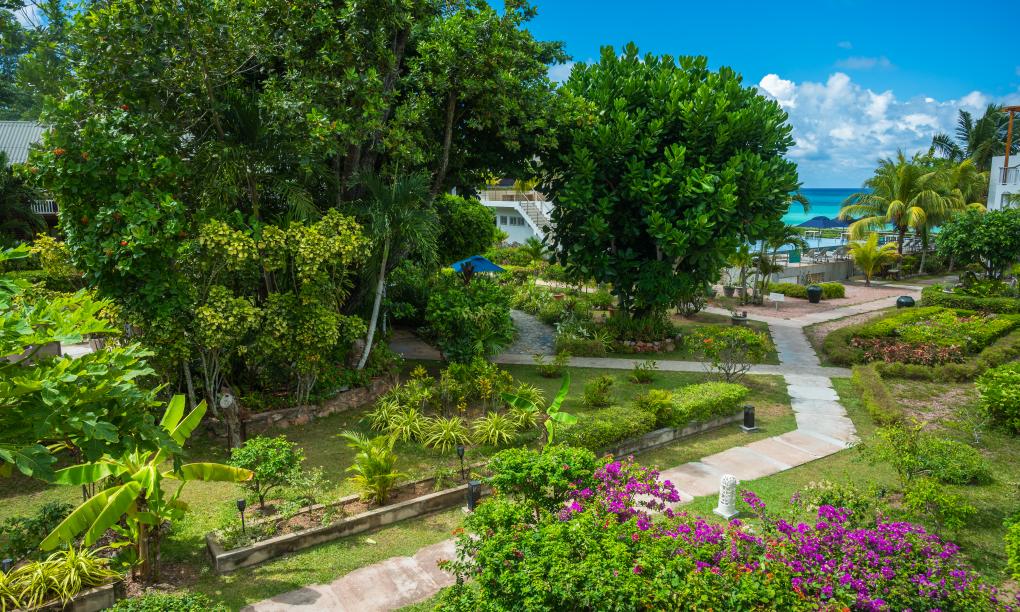 Acajou Beach Resort