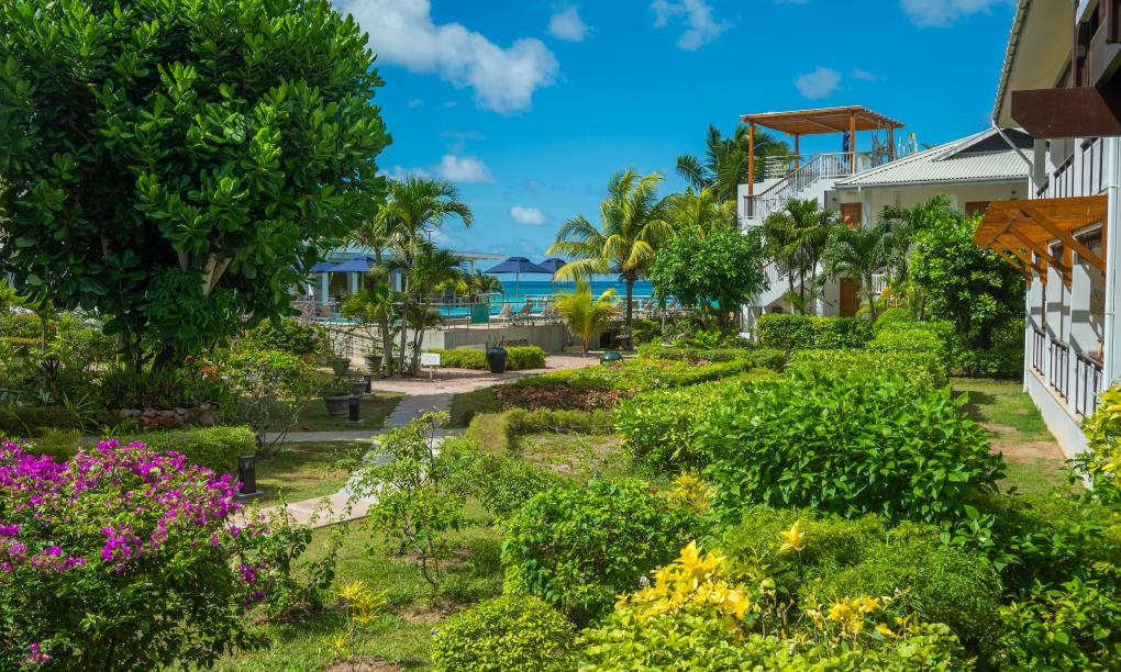 Acajou Beach Resort