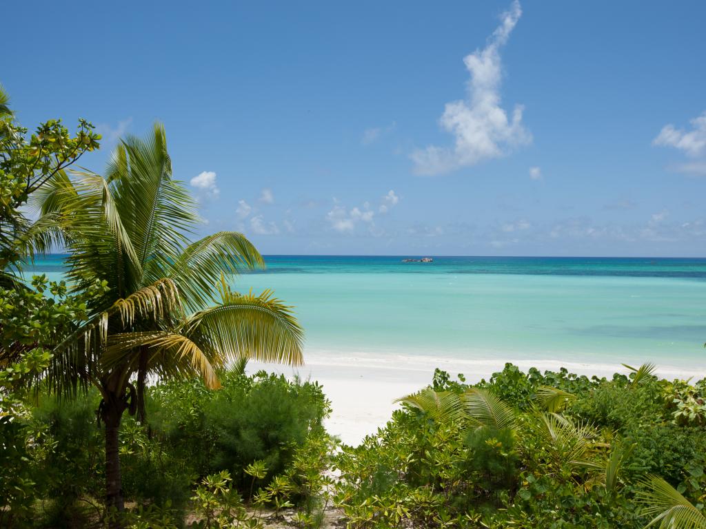 Acajou Beach Resort - Foto 4