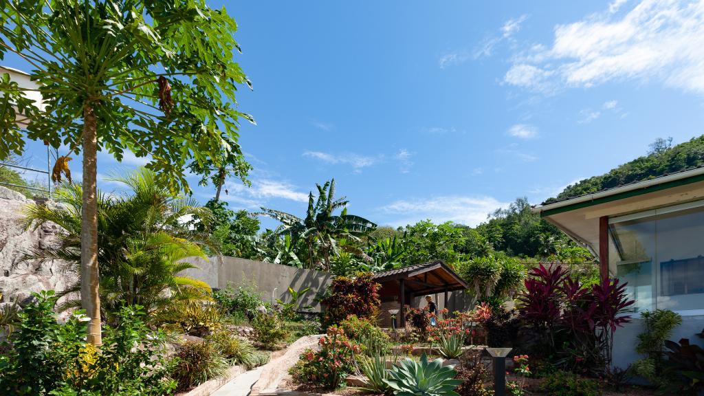 Photo 14: Cote Mer Villa - Praslin (Seychelles)