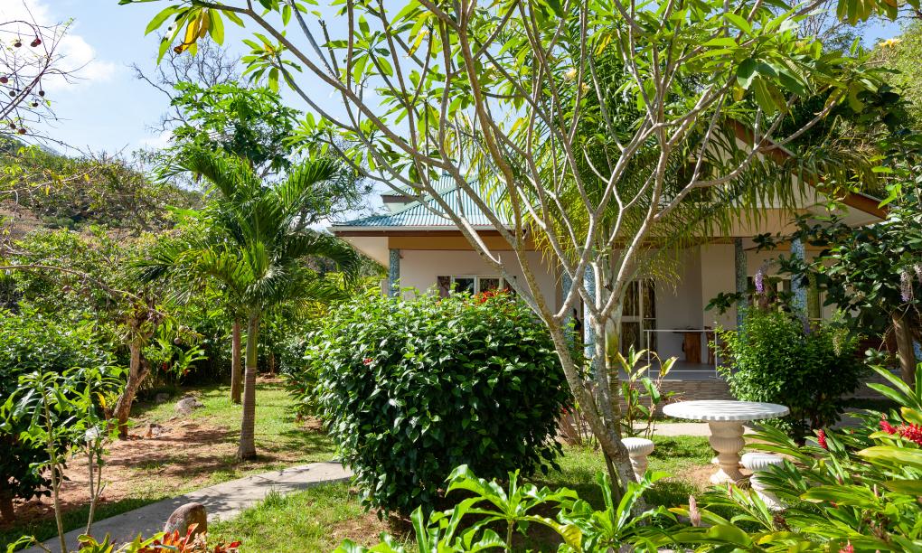 Zanboza Guesthouse