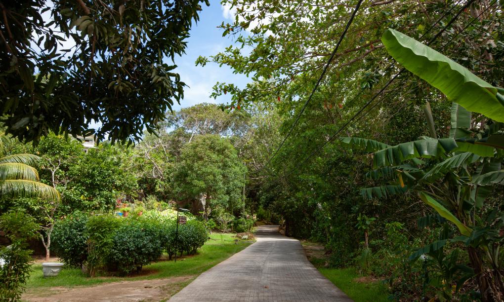 Zanboza Guesthouse