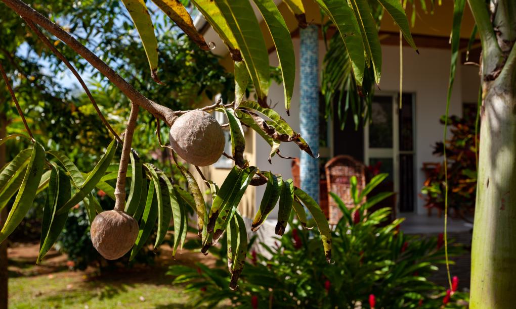 Zanboza Guesthouse