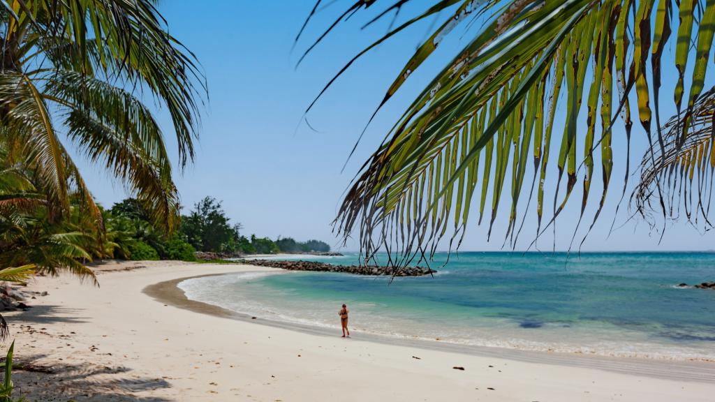 Foto 13: Anse Kerlan Beach Chalets - Praslin (Seychellen)