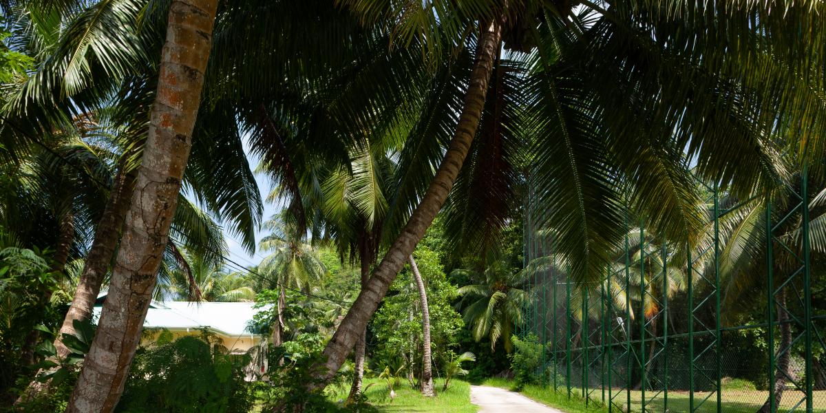 Anse Kerlan Beach Chalets