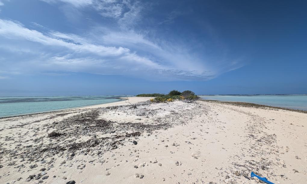 VPM Cocktail Amirantes