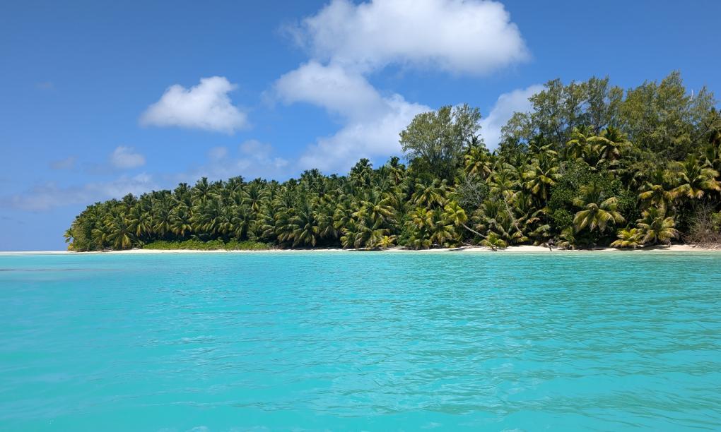 VPM Cocktail Amirantes