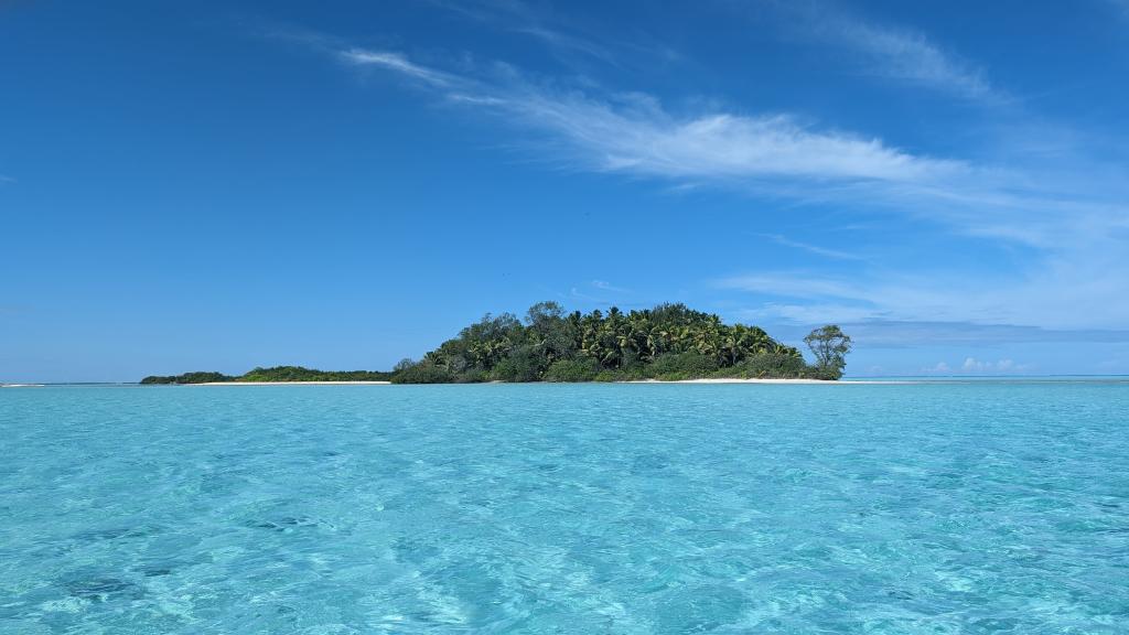 Foto 7: VPM Cocktail Amirantes - Seychellen (Seychellen)