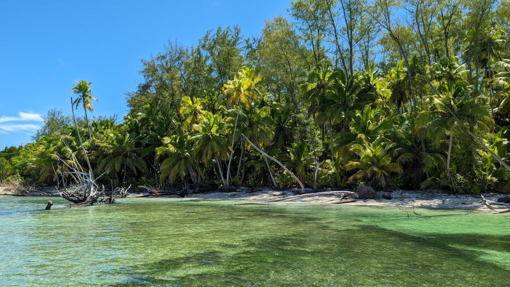 Photo 40: VPM Cocktail Amirantes - Seychelles (Seychelles)