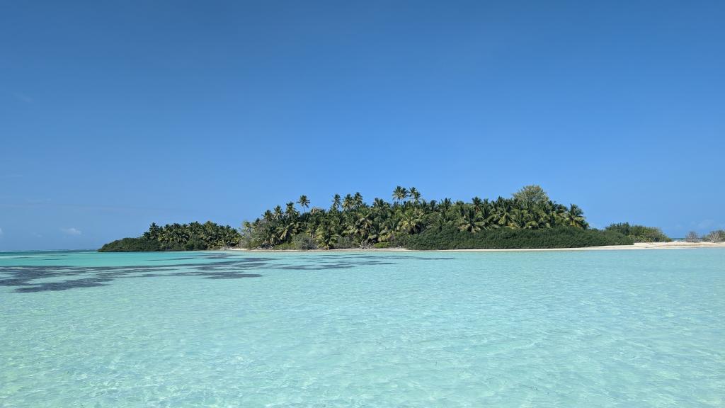 Photo 41: VPM Cocktail Amirantes - Seychelles (Seychelles)