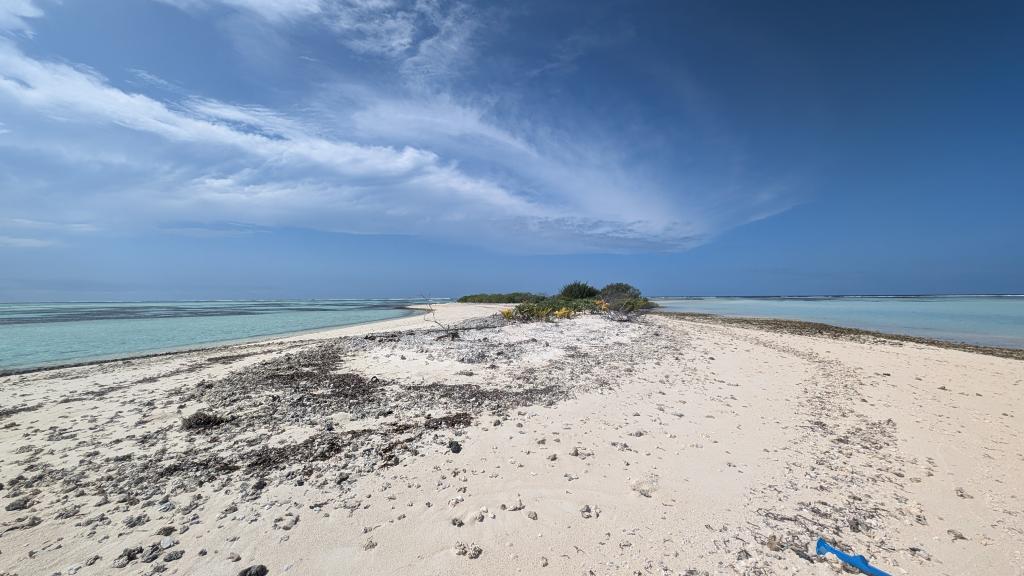 Foto 30: VPM Cocktail Amirantes - Seychellen (Seychellen)