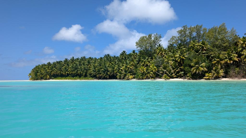 Photo 31: VPM Cocktail Amirantes - Seychelles (Seychelles)