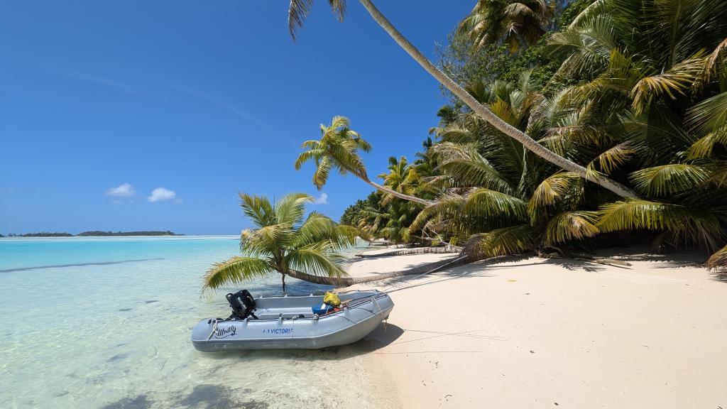 Foto 15: VPM Cocktail Amirantes - Seychellen (Seychellen)