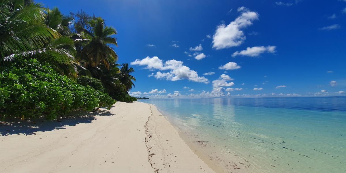 VPM Cocktail Amirantes