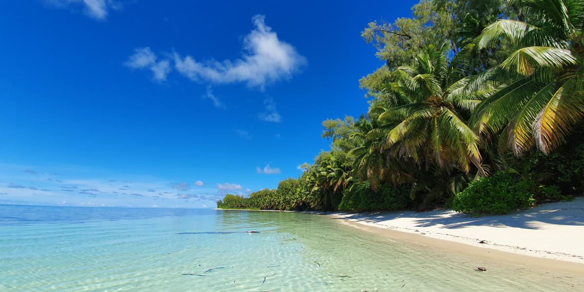 VPM Cocktail Amirantes