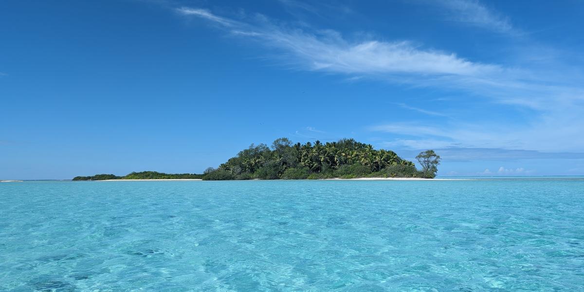 VPM Cocktail Amirantes