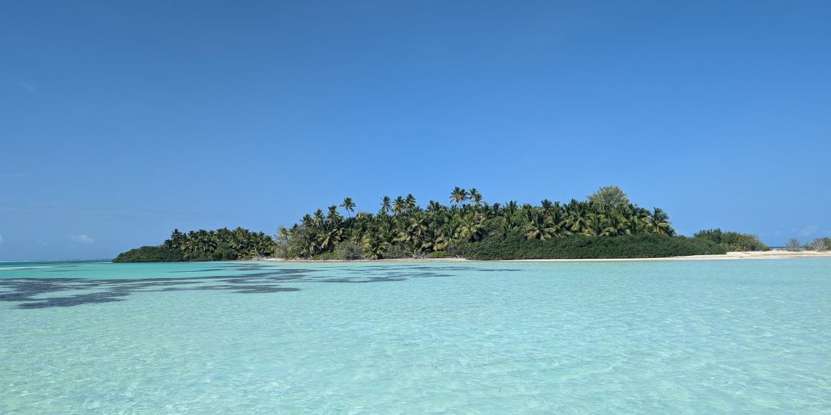 VPM Cocktail Amirantes