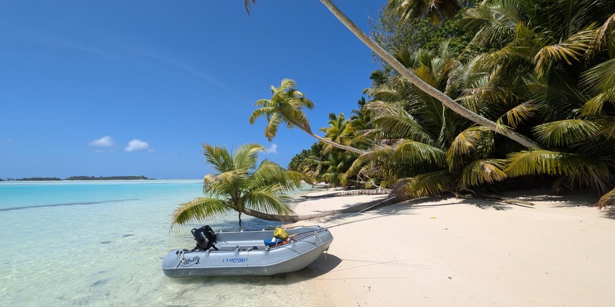 VPM Cocktail Amirantes