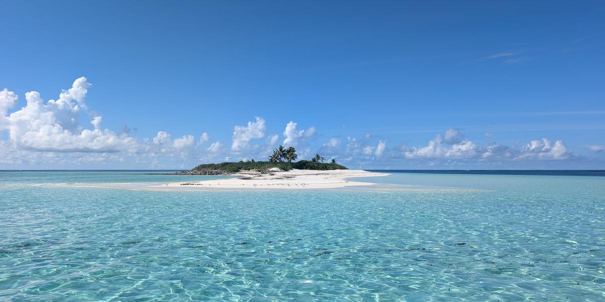 VPM Cocktail Amirantes