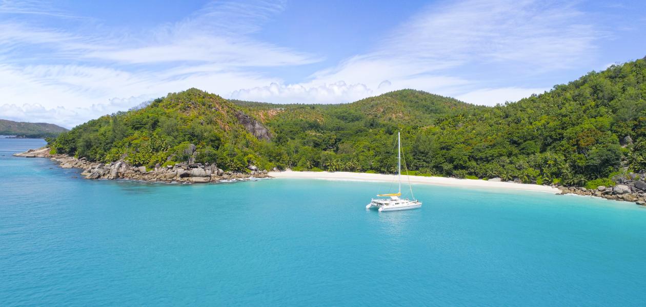 VPM Cocktail Amirantes - Foto 1