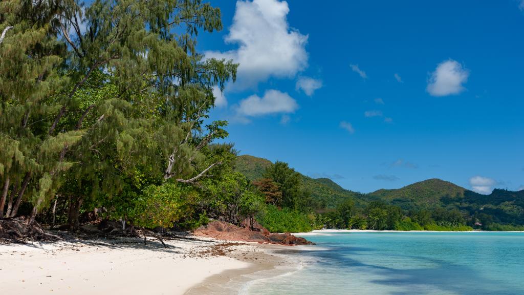 Photo 27: Maison Marie-Jeanne - Praslin (Seychelles)