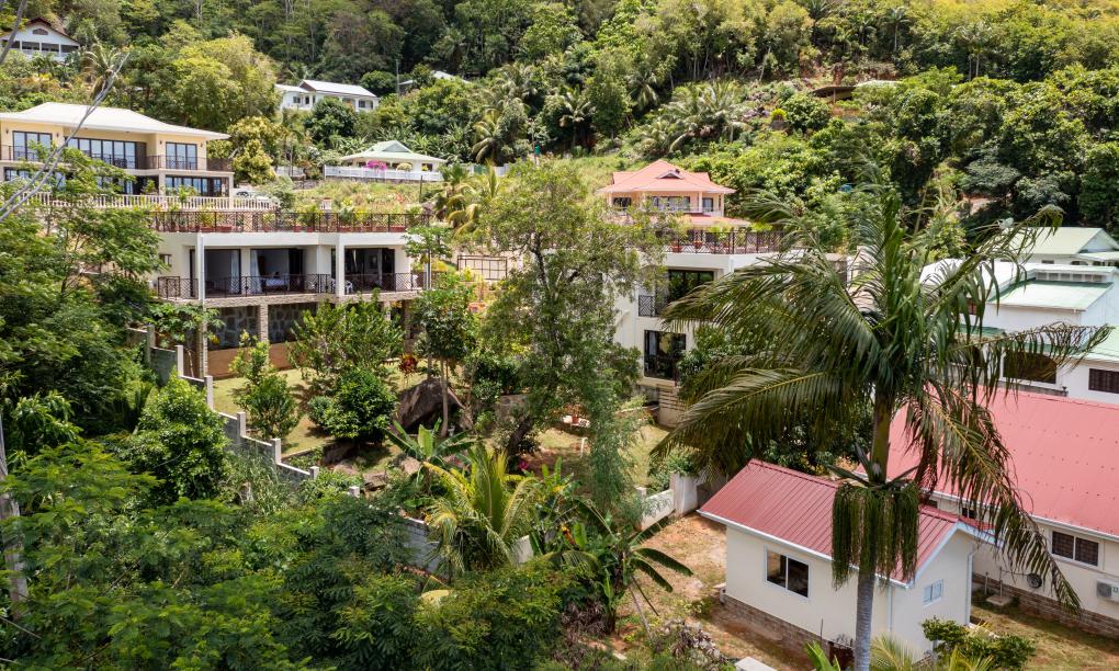 Bougainvillas Seychelles